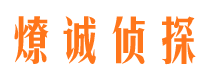 成安市调查公司